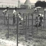 1956 Gymkhana (αγώνες δεξιοτεχνίας με μοτοσικλέτα) με Lambretta στο Πινερόλο
