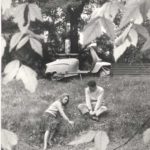 1964 Man and woman with Lambretta scooter in the park