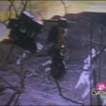 Lambretta LI Series 3 _side panels and front mudguard were removed_ in The Moody Blues- Your Wildest Dreams, Music Video, 1986